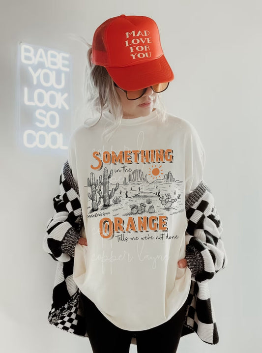 Something In The Orange Shirt, Country Music Tee, Western Graphic Tee, Country Music Concert Shirt, Western Tshirt, Country Tshirt, Cute Tee